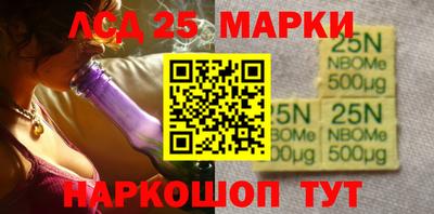 крисы Кулебаки