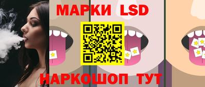 крисы Кулебаки