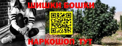 крисы Кулебаки